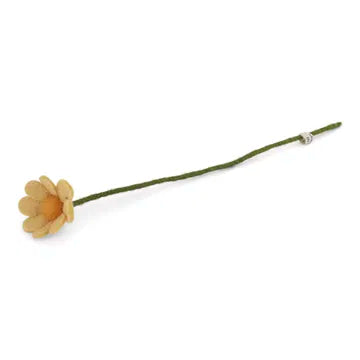 Fleurs des champs