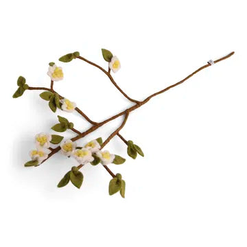 Branches