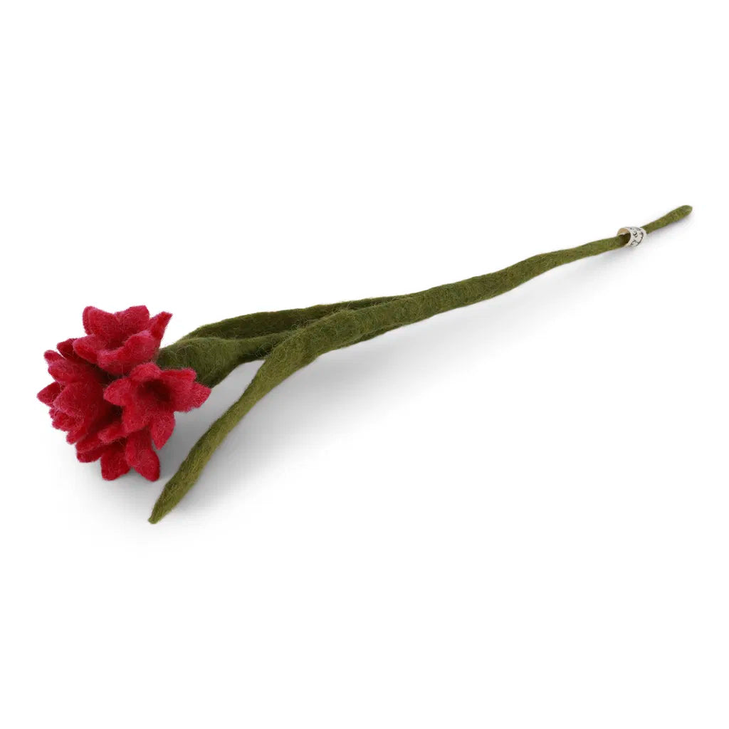 Fleurs des champs