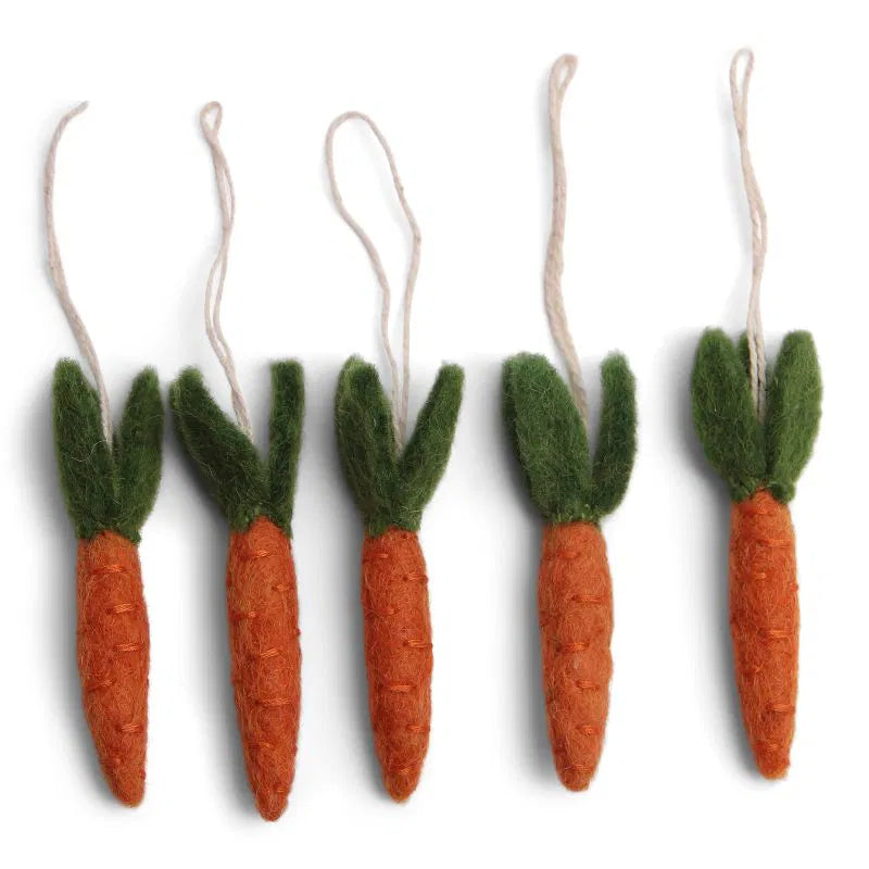 Carottes - lot de 5