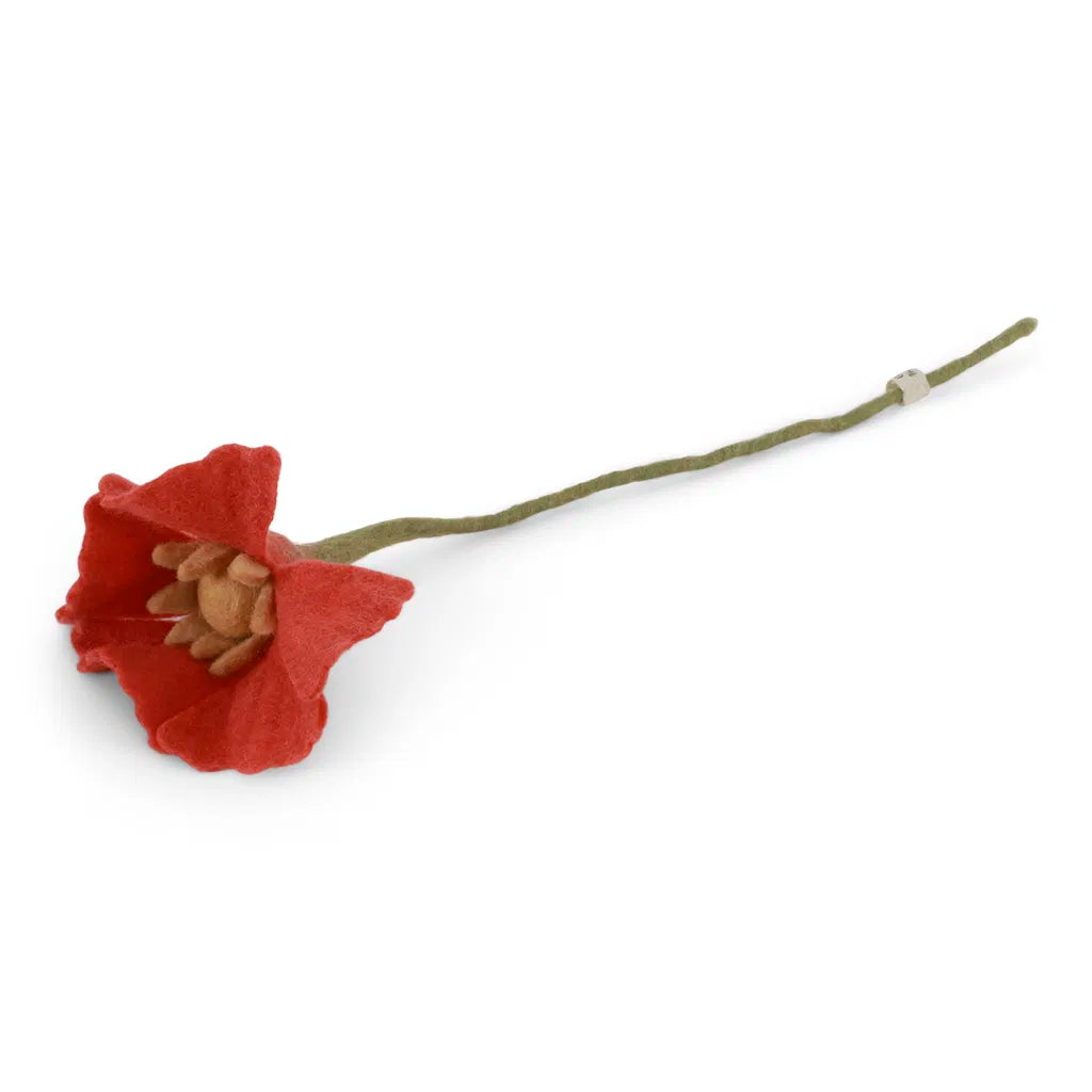Fleurs des champs