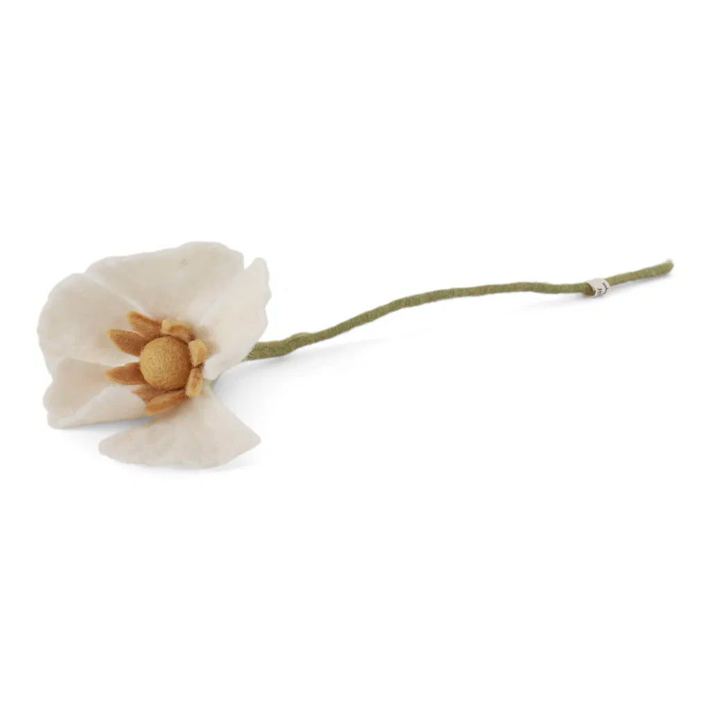 Fleurs des champs