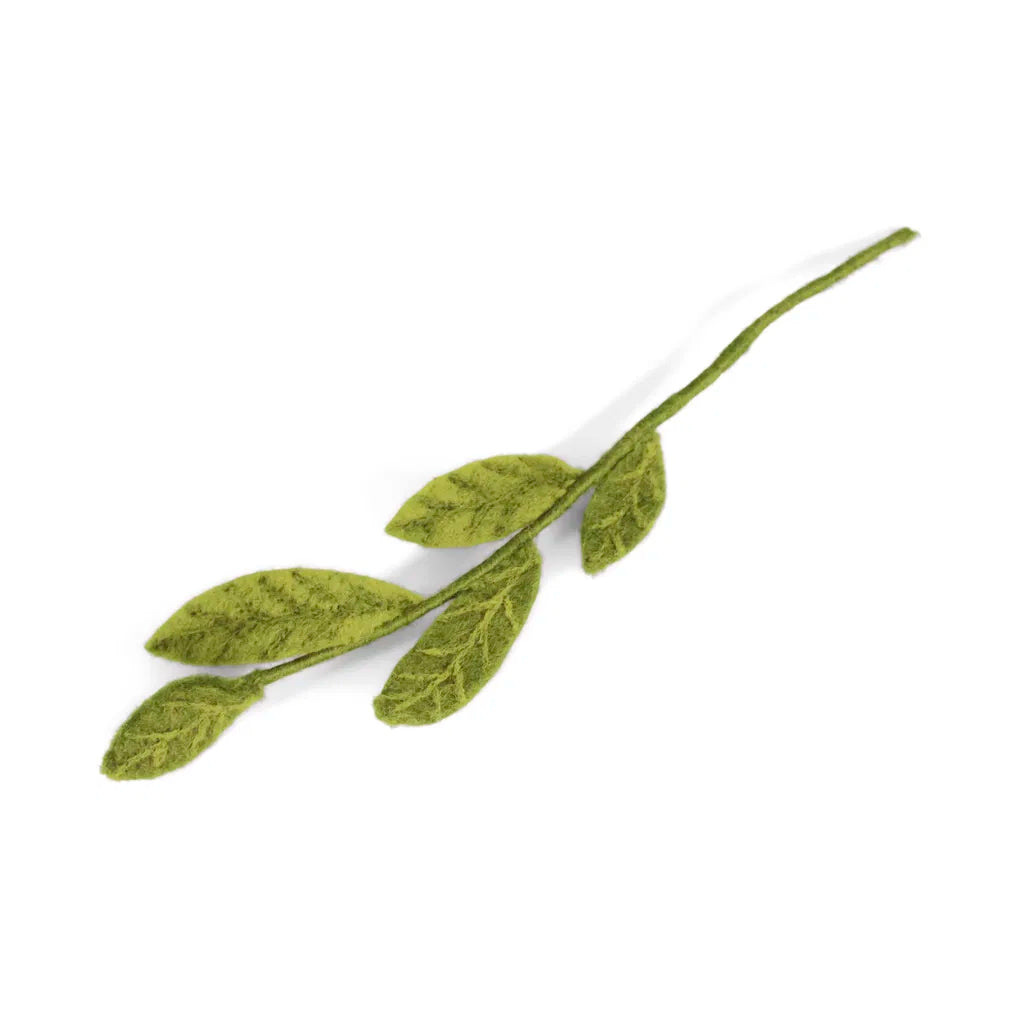 Verdure pour bouquets