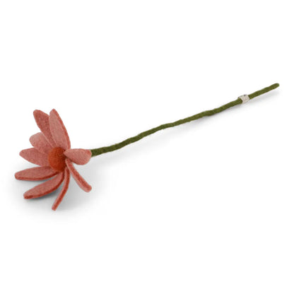Fleurs des champs