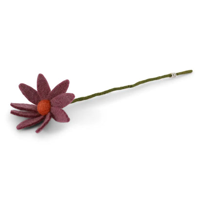 Fleurs des champs