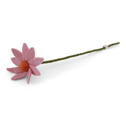 Fleurs des champs
