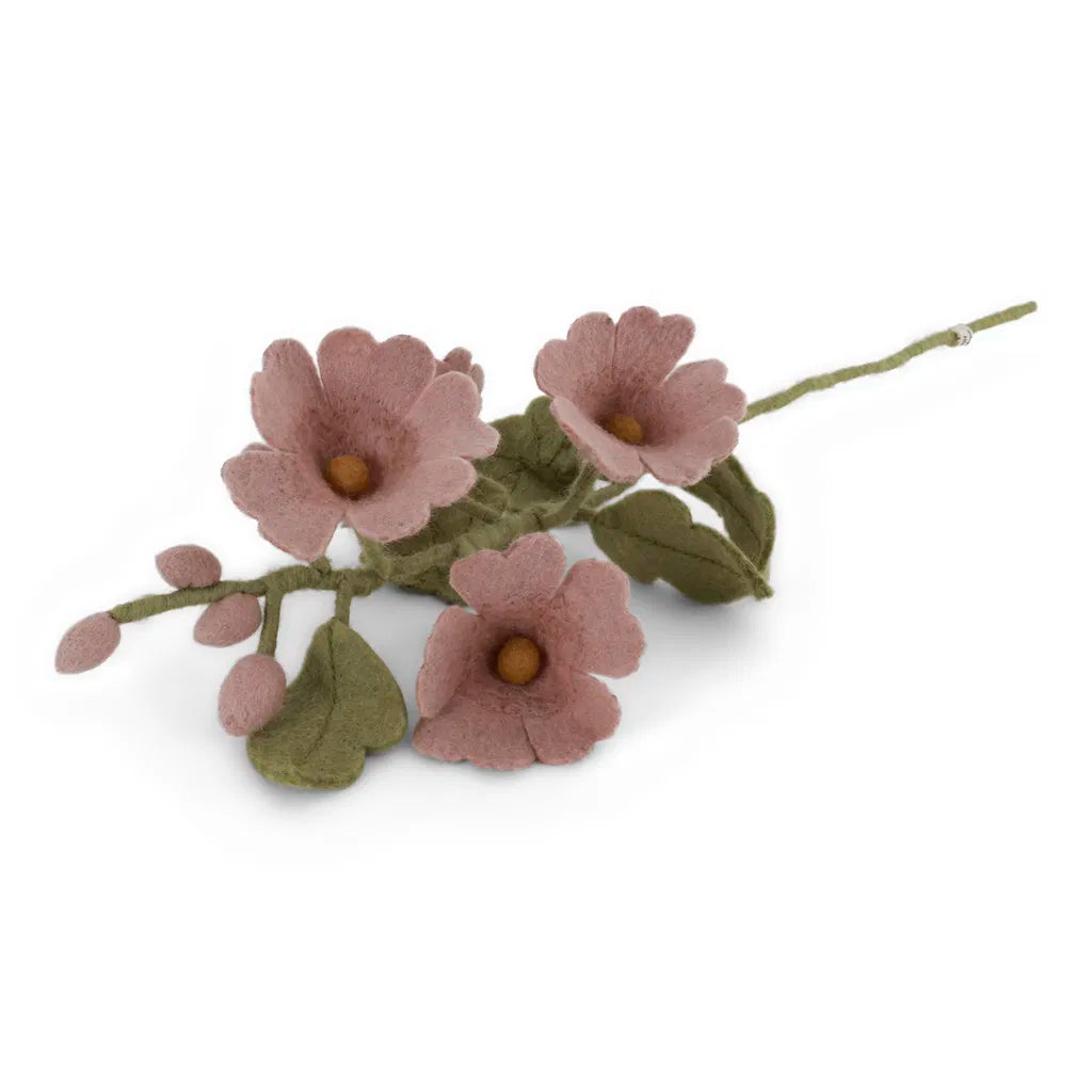 Fleurs des champs