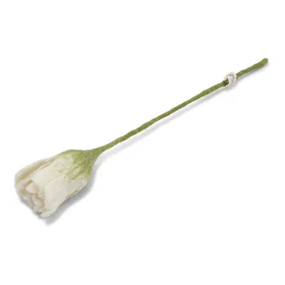 Tulipe