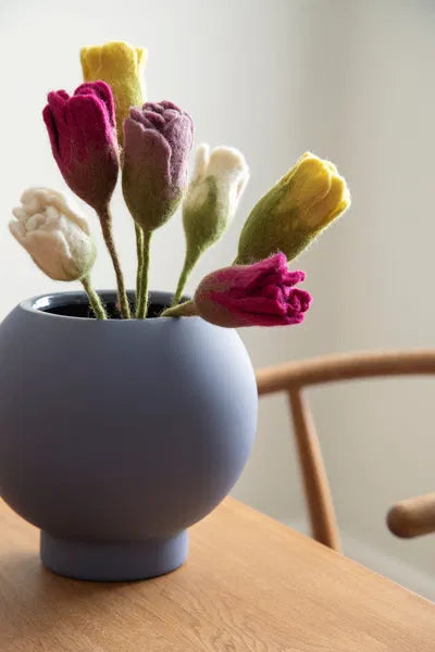 Tulipe